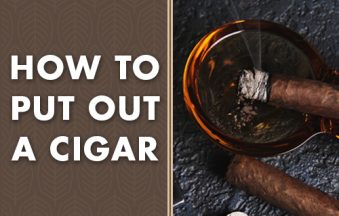 How to Properly Put Out a Cigar